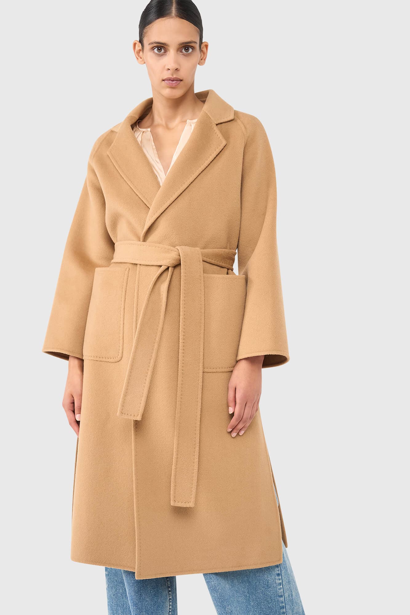 Jules Camel - alternatieve afbeelding