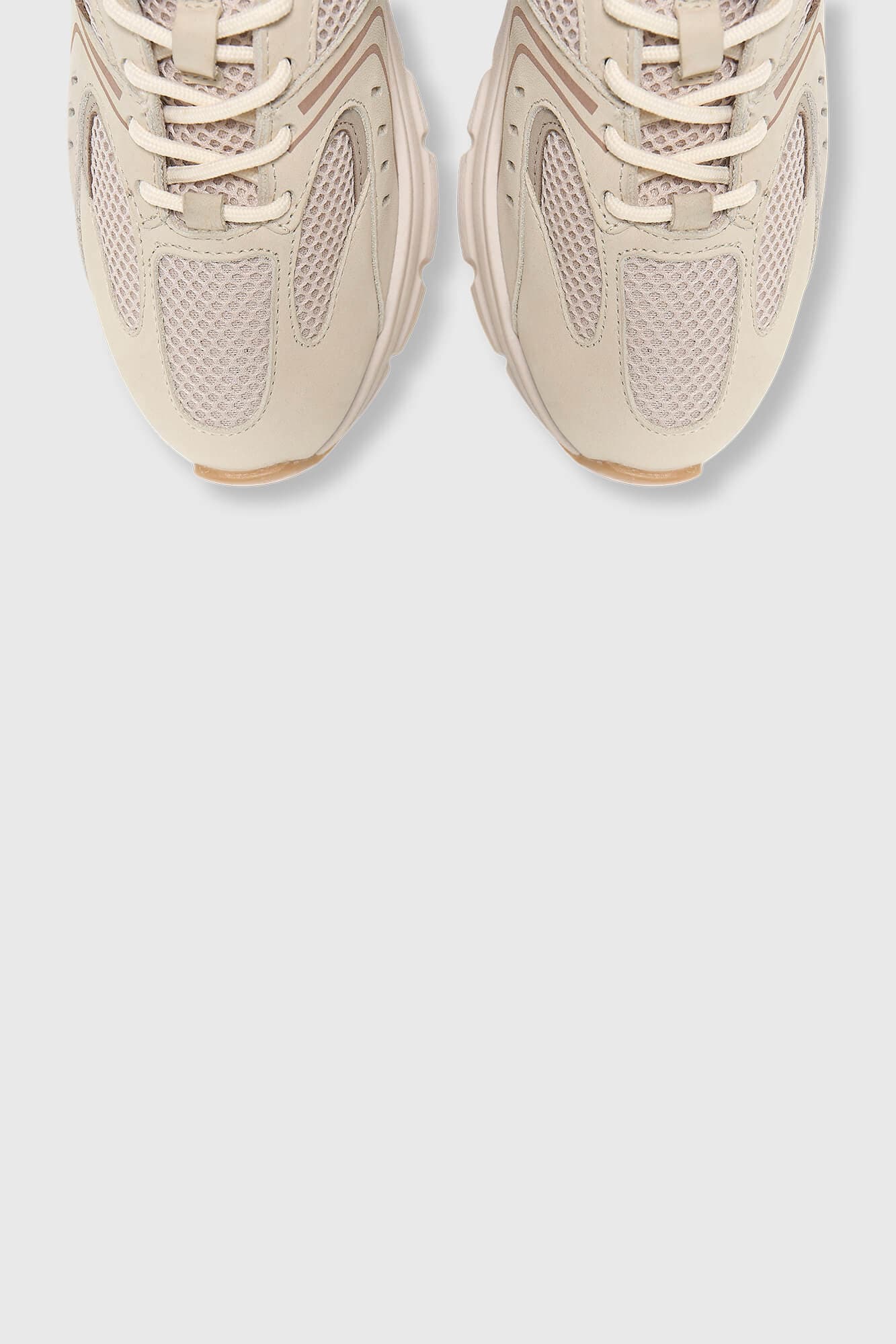 Bolt Camel 553 Suede - 3